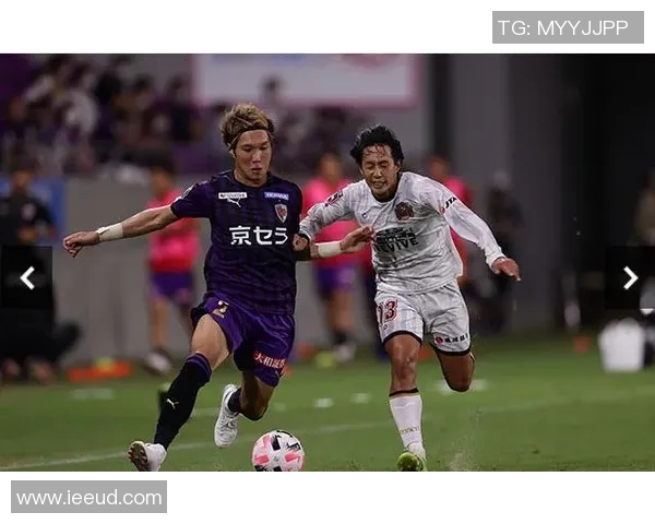 京都不敌甲府风的激烈对抗赛回顾与分析