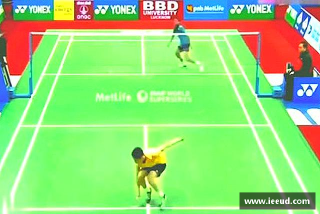 发现芒果体育官网